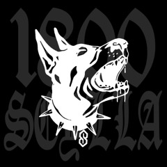 1800SCYLLA :: YOURSHOT WA 2025 MIX