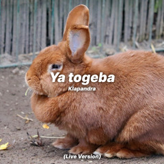 Ya togeba (Live Version)