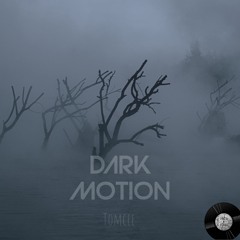 Dark Motion (Original Mix)