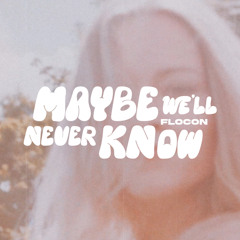 flocon - Maybe We'll Never Know