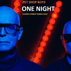 Pet Shop Boys - One Night (Florish Forest Remix 2024)