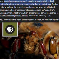 what the fuck is going on