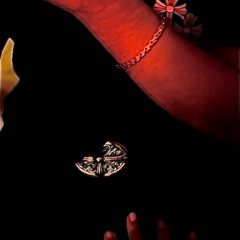 supposedly did (playfulljay)