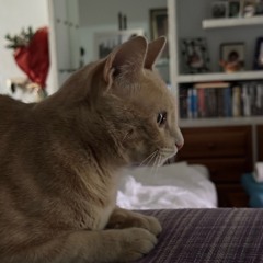 FUNKY COLD PATOJA (Mashup Sebas).m4a