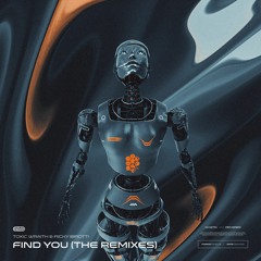 Toxic Wraith & Ricky Birotti - Find You (The Remixes) Mini Mix
