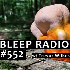 Bleep Radio #552 w/ Trevor Wilkes [Leftover Triscuits and Tea]