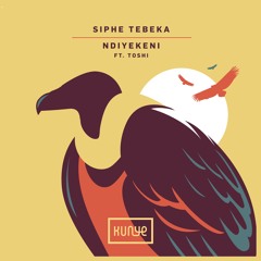 Siphe Tebeka Feat Toshi - Ndiyekeni (Mozaïk Remix) (Preview)