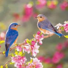 It Might As Well Be Spring