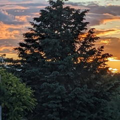 hoping over all the hills