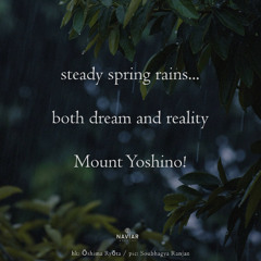 steady spring rains... (Naviarhaiku 591)