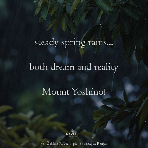 steady spring rains... (Naviarhaiku 591)