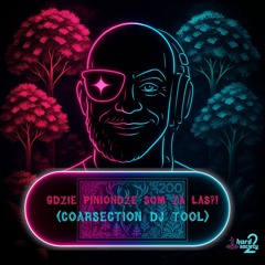 Gdzie Piniondze Som Za Las?!(Coarsection DJ Tool)