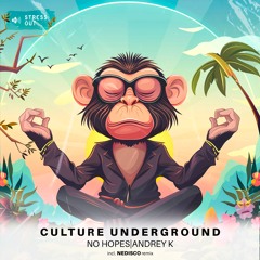 No Hopes, Andrey K - Culture Underground (Original Mix)
