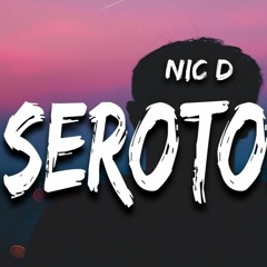 Nic D - Serotonin (Lyrics)