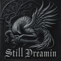 Still Dreamin