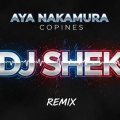 DJ SHEK -AYA Nakamura Copines  Remix