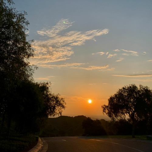 though I love you Lord