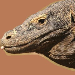 Mac Miller Type Beat