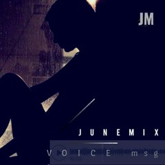 Junemix - Voice Msg / Голосовые