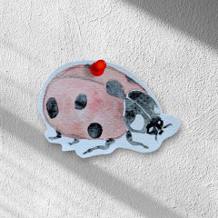 Poplar Ladybird