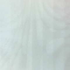 impetuous