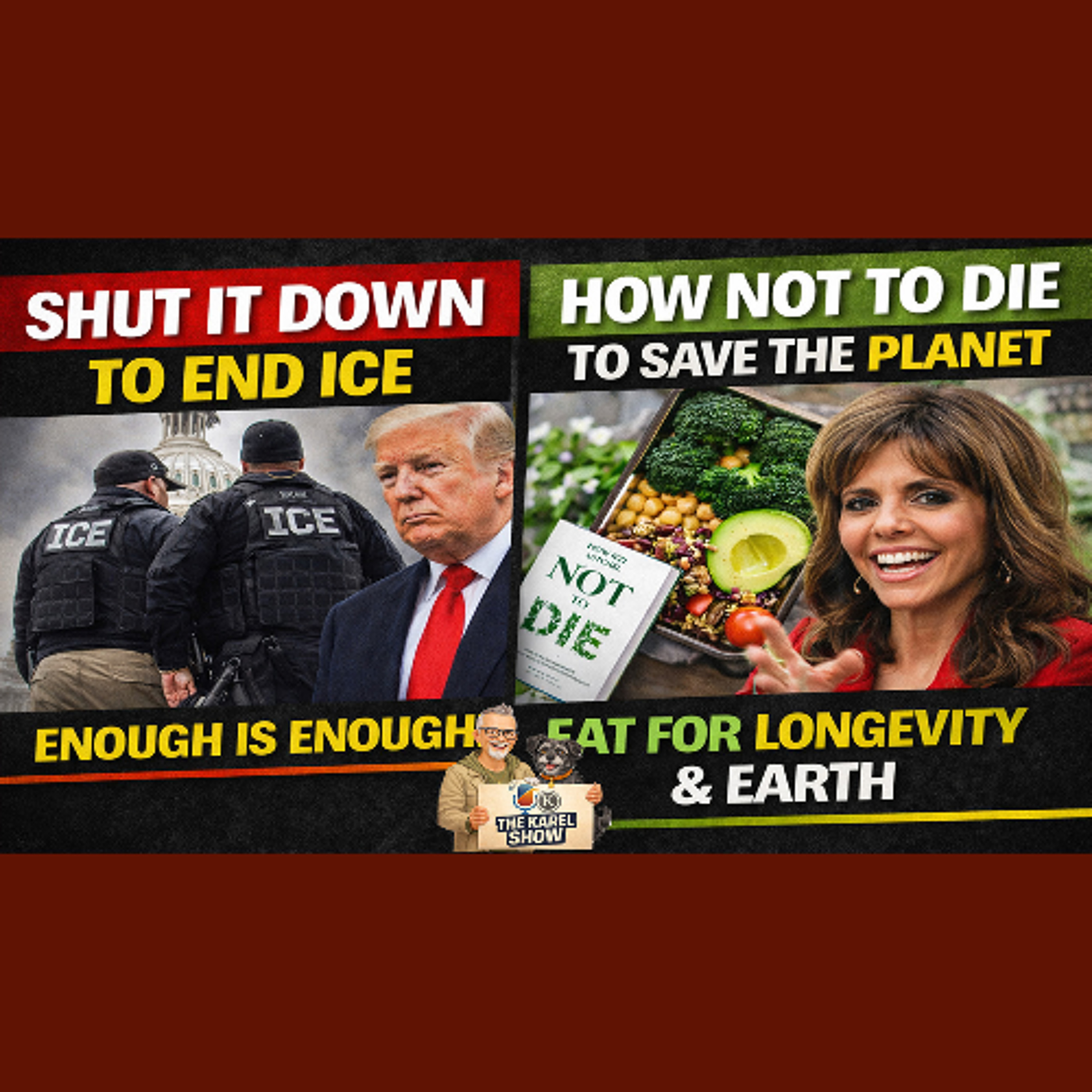 Shut It Down to Stop ICE—And How to Not Die While Saving the Planet | The Karel Show