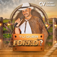 Vaqueiro Ferruado