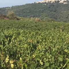 Mach Feuer an einem stillen Ort.