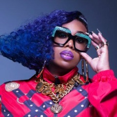 Missy Elliot - I'm Really Hot (Mr. Ness Flip)
