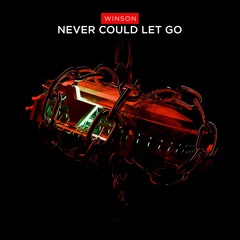 WINSON - Never Could Let Go [Verknipt Records]