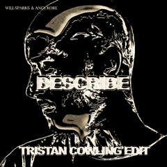 AnGy KoRe, Will Sparks - Describe (Tristan Cowling Edit)