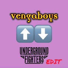 V3NG4BOYS - UP & DOWN (UNDERGROUND FIGHTERS EDIT)