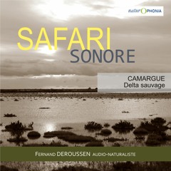 SAFARI SONORE 01 CAMARGUE Fernand DEROUSSEN.WAV