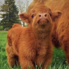 Sh*t Music 2 (Dell Speakers Edition)