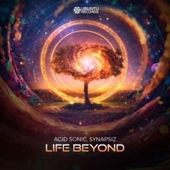 Acid Sonic, Synapsiz - Life Beyond