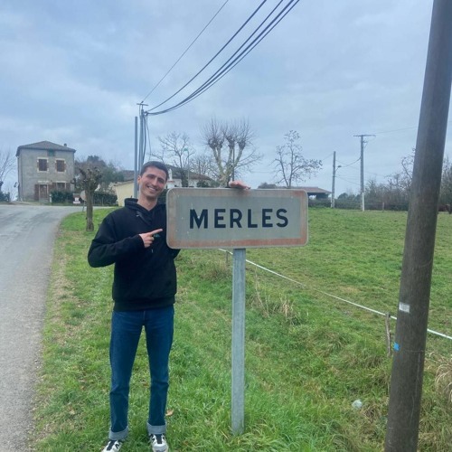 Merle à Merles