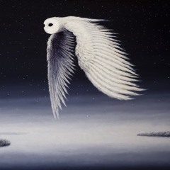 APØFIS - The Phantøm Bïrd