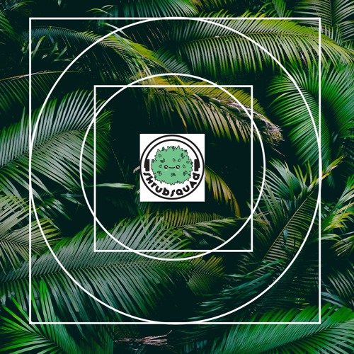 Forest Mix