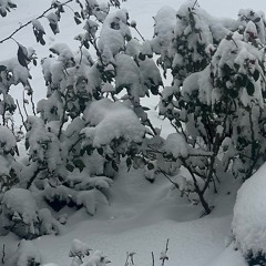 This song isn’t about U