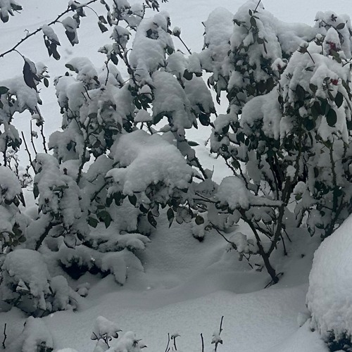 This song isn’t about U