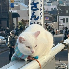 yuzamei. 2024 ID SHOWCASE