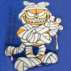 party (fried by fluoride cover)