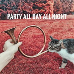 PARTY ALL DAY ALL NIGHT