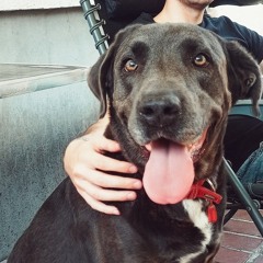 HΛZE - With The Lights Out Rock Ver.mp3