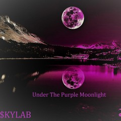 Under The Purple Moonlight