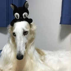 villain demos (ty for 1k i love u all)