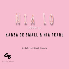 kabza de small x Nia Pearl _ Nia lo(GBmix)