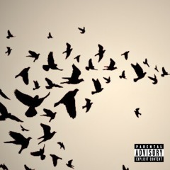crow (prod. colt5n)