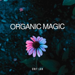 Organic Magic Mix [2022]