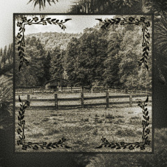 Late Night Jam Session